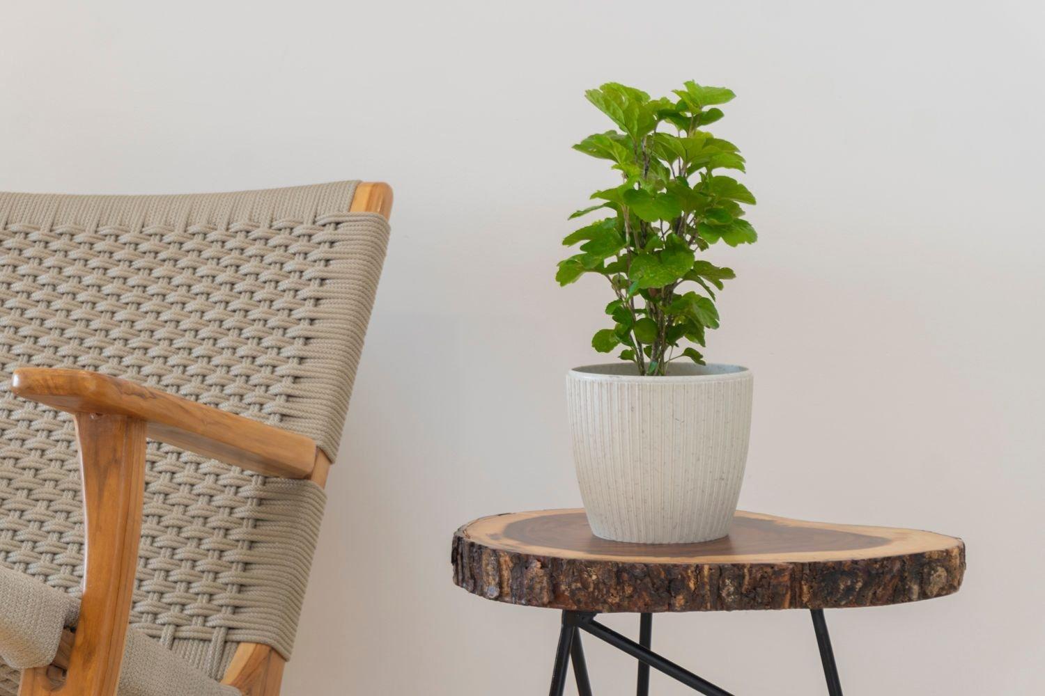 Cb906 | Encantadora Ocean View Y Diseño Cálido Cartagena